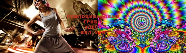 прущая мука Арсеньев